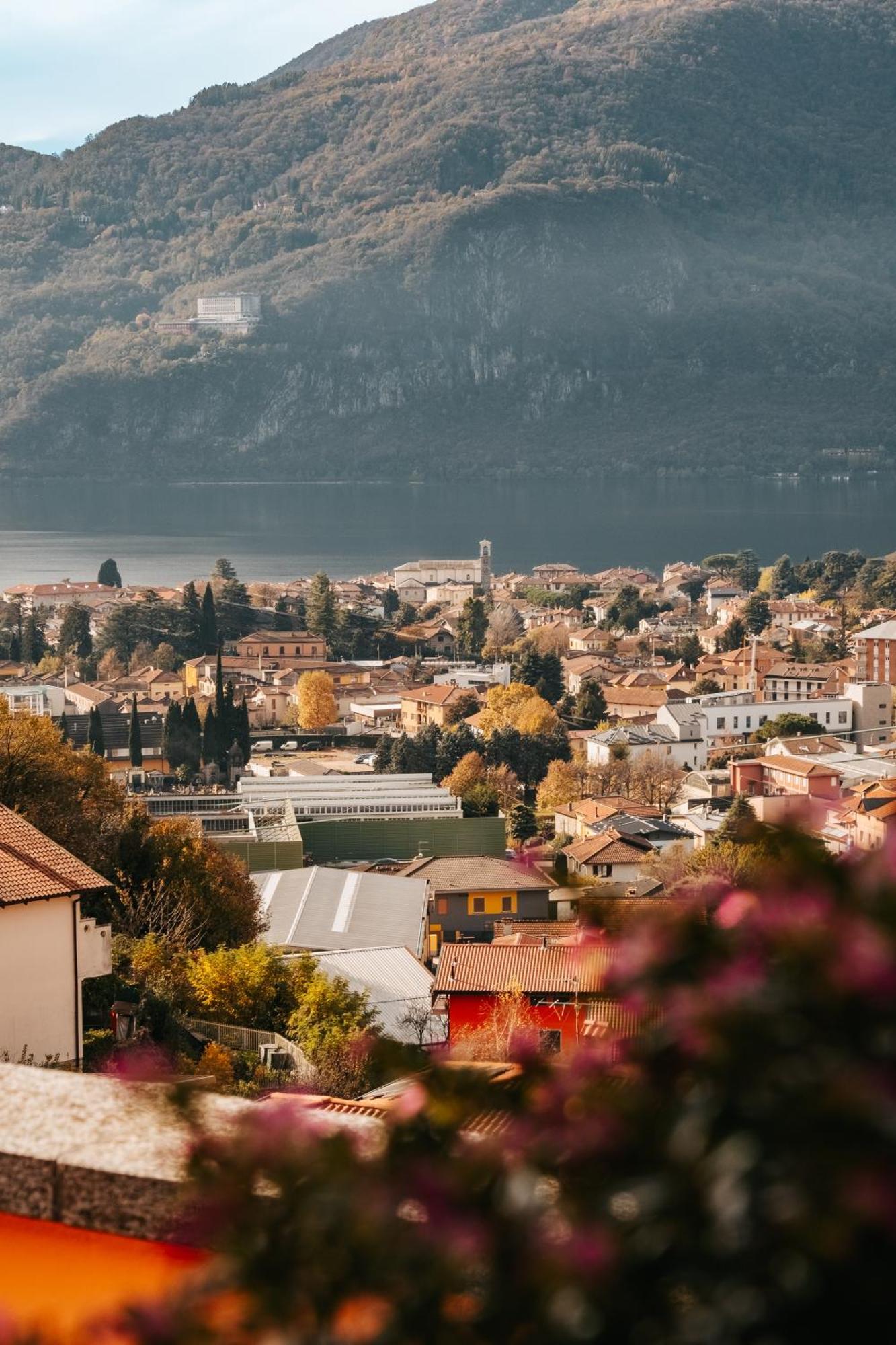 Larius Apartment - Como Lake View Мандельо дел Ларио Екстериор снимка